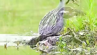 What a great way to see, catch and eat