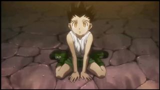 COMPILATION DES MEILLEURS COMBAT DE HUNETR X HUNTER