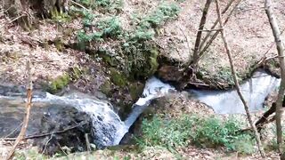 Bushcraft trip with my dog