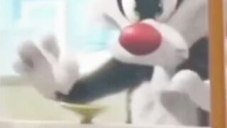 Animal fofos ????????????????