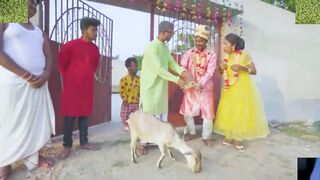Tik tok Viral Funny Video 2022 try Not To Laugh????????????⚡????