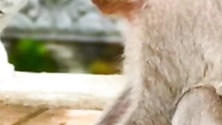 Querendo a atenção da mãe
