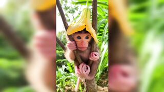 animals in nature | Animais na natureza
