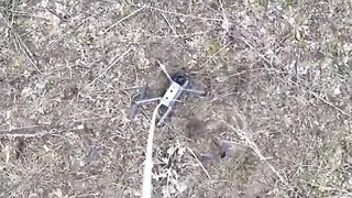 Український дрон евакуює інший дрон