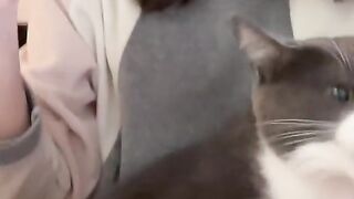 Cuteee