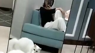 I love pets, likes .