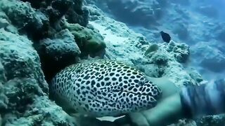 Scuba Diving!