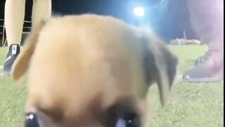 Very cute