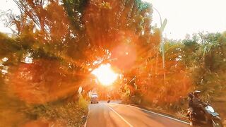 Cinematic Video