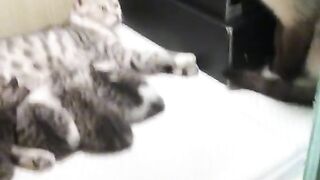 dont touch