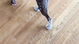 bad dogs