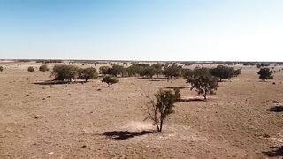 Australia's INSANE Plan to GREEN All it's Deserts 2022
