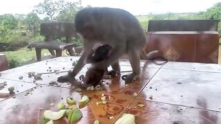 Me segura direito mamãe