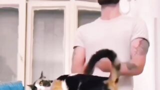 FUNNY ANIMALS