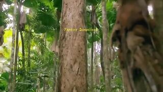 animal step cassowary