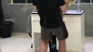 Pet tomando banho