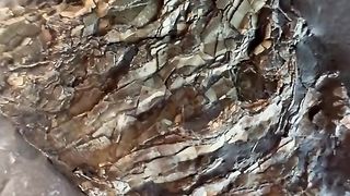 Amazing videos vol 477