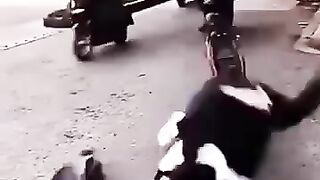 accident