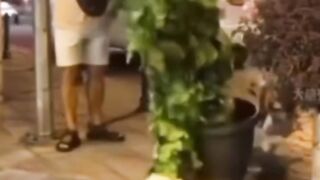 funny videos of Pja
