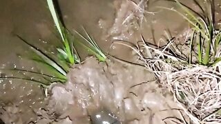Night Ferocious Eel Fishing