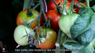 Tenha hábitos saudáveis para poder viver melhor