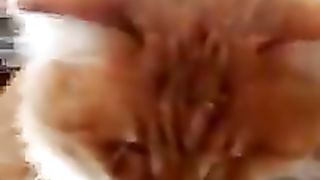 Чаепитие ????Подпишись на нас????