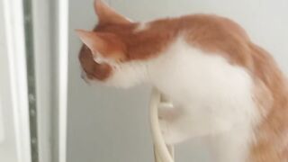 Знает что надо????