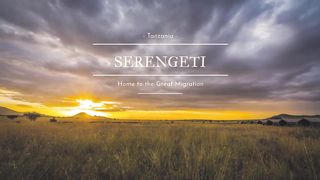 Serengeti National Park - Tanzania