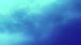 Shark attacks a diver