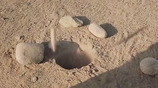The man explodes gerbil's nest, is surrounded by thousands of gerbils in revenge