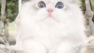The most amazing eyes I've ever seen. Look what it is