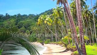 Beautiful Natural Beach Views