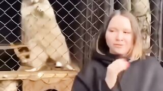 ANIMAL-TIKTOK-COMPILATION-REACTIONS_1.