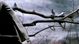 Jab kisi ko kisa piyar hota ha Hindi songs