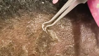 Amazing video ????