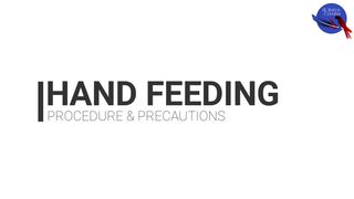 19 HAND FEEDING