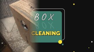 23 BOX CLEANING