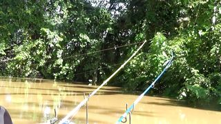Really crazy!!! Fishing in the river during a big flood was attacked by a group of vicious fish.
