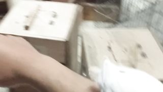 24 HANDTAMED