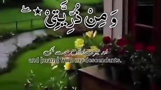 Beautlfull video Qurani verses shorts Video share plz subscribe and watch my video