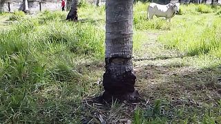 Amazing video ????