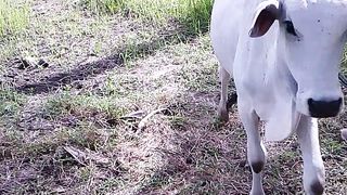 Amazing video ????