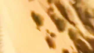 حضرت لوط علیہ السلام اور ان کی قوم