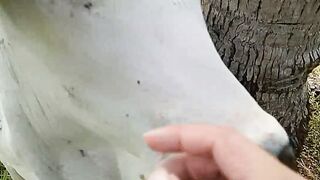 Amazing video ????