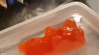 Gummy bear growing