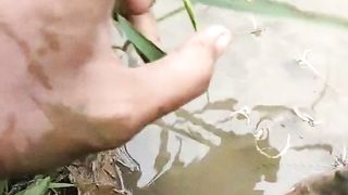 Amazing Wild Monster Eel 5 Years Old