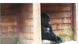 When a crush rejects your proposal