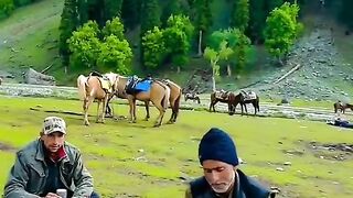One line for Pakistan