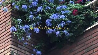 Magical Poetry