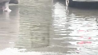 Amazing video ????
